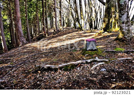 丹沢の屏風岩山山頂 三角点の標石 丹沢の屏風岩山山頂 三角点の標石 92123021