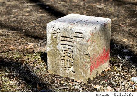 丹沢の世附権現山の山頂 三角点 丹沢の世附権現山の山頂 三角点 92123036