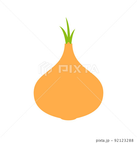 Yellow Onion isolated on white background Yellow Onion isolated on white background 92123288