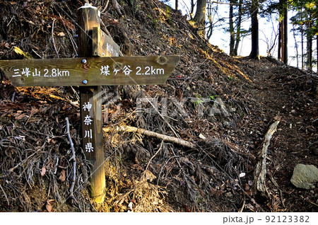 丹沢の大山三峰山　大山三峰縦走コース　物見峠分岐の休憩所 92123382