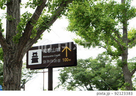 和歌山市　けやき大通り 92123383