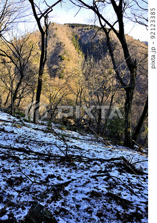 丹沢の大山三峰山より雪の山地に朝日の辺室山 92123385