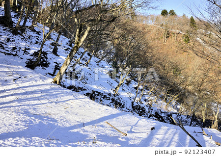 丹沢の辺室山 雪稜の辺室山縦走コース 丹沢の辺室山 雪稜の辺室山縦走コース 92123407