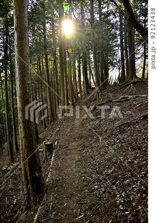 丹沢の相州アルプス 荻野高取山の森を通る道 丹沢の相州アルプス 荻野高取山の森を通る道 92123438