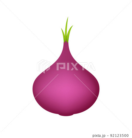 Red Onion isolated on white background 92123500