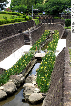 高瀬裏川花しょうぶまつり　歴史ある石橋、石垣と花しょうぶの風情ある風景 92123657