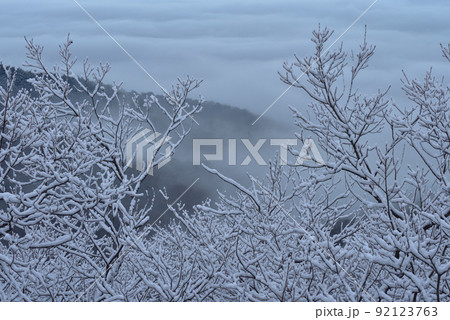 大小山の雪景色 樹氷 大小山の雪景色 樹氷 92123763