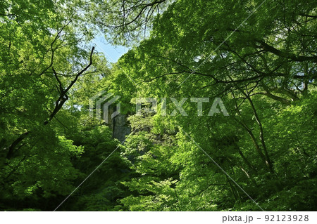 小諸市布引観音釈尊寺の参道 小諸市布引観音釈尊寺の参道 92123928