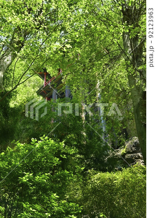 小諸市布引観音釈尊寺の参道から見上げる観音堂宮殿 小諸市布引観音釈尊寺の参道から見上げる観音堂宮殿 92123963