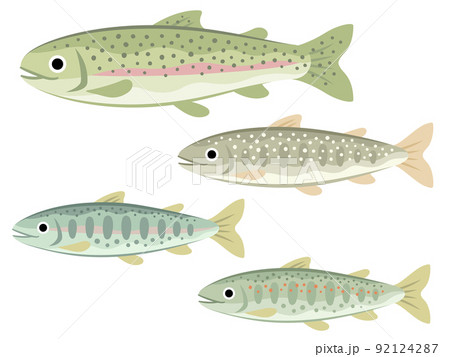 川魚のイラストセット ニジマス イワナ ヤマメ アマゴ のイラスト素材
