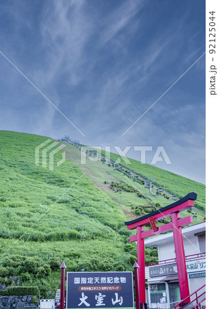 伊豆伊東市大室山 伊豆伊東市大室山 92125044