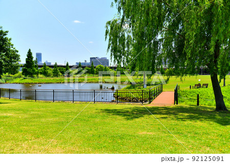 新横浜公園より新横浜駅方面を望む(神奈川県横浜市)【2022.5】 新横浜公園より新横浜駅方面を望む(神奈川県横浜市)【2022.5】 92125091