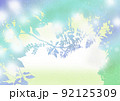 樹、森の中イメージ背景 92125309