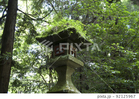 箱根神社参道の灯篭縦 箱根神社参道の灯篭縦 92125967