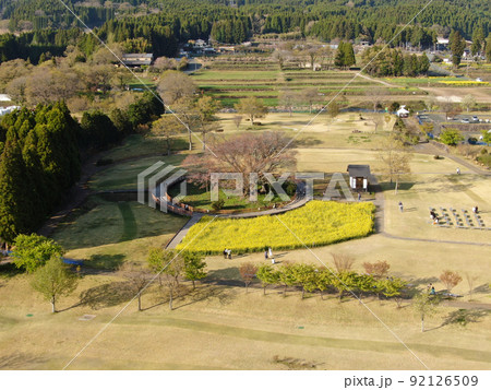 夕暮れの南阿蘇村の一心行の大桜の空撮 夕暮れの南阿蘇村の一心行の大桜の空撮 92126509