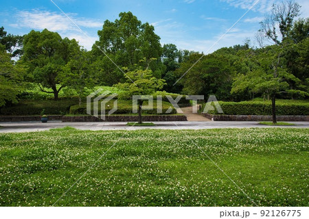 馬見丘陵公園（初夏　円形広場　グランドカバー）　 92126775