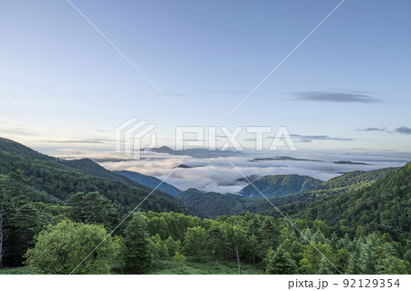 夏の早朝の美ヶ原高原より、蓼科山、八ヶ岳方面を望む 92129354