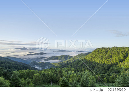 夏の早朝の美ヶ原高原より、蓼科山、八ヶ岳方面を望む 夏の早朝の美ヶ原高原より、蓼科山、八ヶ岳方面を望む 92129360