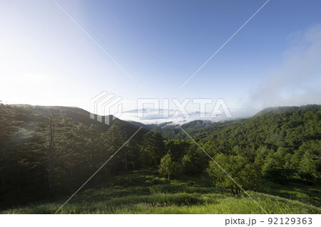 夏の早朝の美ヶ原高原より、蓼科山、八ヶ岳方面を望む 92129363