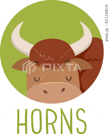 Animal Body Part Yak Horns Illustration 92129810