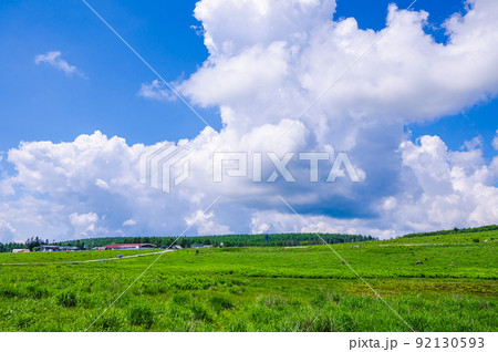 夏の霧ヶ峰高原 夏の霧ヶ峰高原 92130593