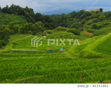 初夏の田園風景 初夏の田園風景 92131862