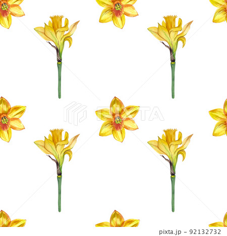 Seamless pattern with yellow daffodils. Suitable for the design of postcards, textiles, invitations and more. 92132732