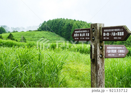 信州・霧ヶ峰・八島ヶ原湿原 信州・霧ヶ峰・八島ヶ原湿原 92133712