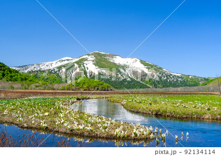下ノ大堀川と水芭蕉2 92134114