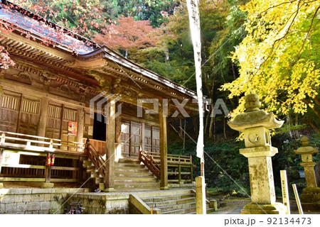 岐阜県揖斐川町　横蔵寺の本堂と黄葉 92134473
