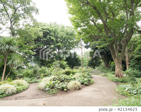 港の見える丘公園 港の見える丘公園 92134625