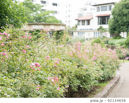 港の見える丘公園 港の見える丘公園 92134656
