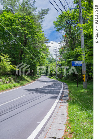 夏のビーナスライン【茅野市】 92135519