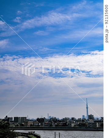東京葛飾奥戸の環状7号青砥橋から見た7月の夏空とスカイツリー 東京葛飾奥戸の環状7号青砥橋から見た7月の夏空とスカイツリー 92135600