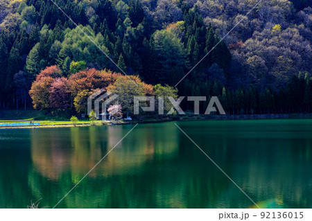 長野県農具側から見る春の桜のリフレクション風景 長野県農具側から見る春の桜のリフレクション風景 92136015