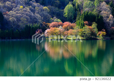長野県農具側から見る春の桜のリフレクション風景 長野県農具側から見る春の桜のリフレクション風景 92136022