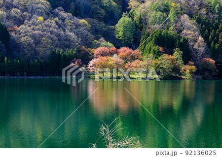 長野県農具側から見る春の桜のリフレクション風景 長野県農具側から見る春の桜のリフレクション風景 92136025