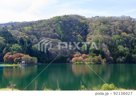 長野県農具側から見る春の桜のリフレクション風景 長野県農具側から見る春の桜のリフレクション風景 92136027