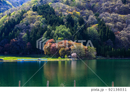 長野県農具側から見る春の桜のリフレクション風景 92136031