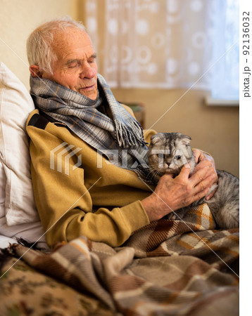 old gray haired man in sweater holds scottish fold cat 92136032