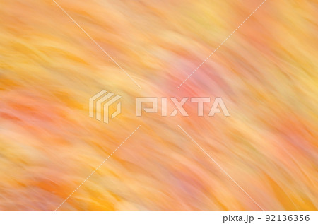 Motion blurred foliage autumn. Texture motion of fall trees Motion blurred foliage autumn. Texture motion of fall trees 92136356