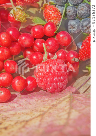 Delicious fruit and berry. Mixed fresh ripe berries Delicious fruit and berry. Mixed fresh ripe berries 92136372