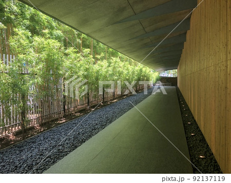 涼しげな一本道 92137119