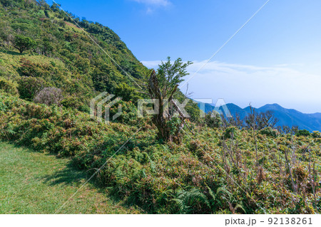 夏の伊豆山稜線歩道の風景　高原の灌木 92138261
