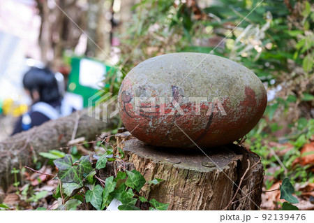 広島観光千光寺尾道猫石福猫神社　切り株の上の福猫 92139476