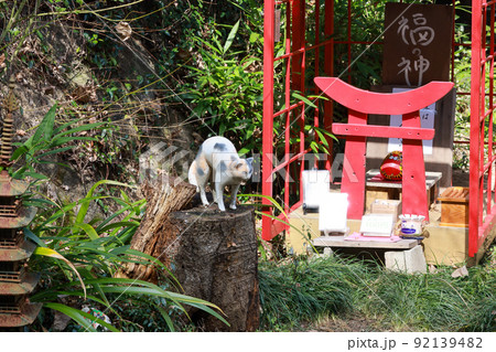 広島観光千光寺尾道猫石福猫神社 92139482