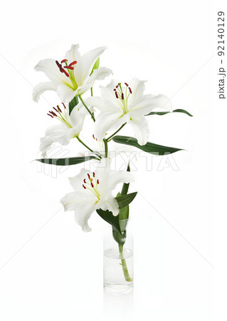 Bouquet of light lilies isolated on white background. Bouquet of light lilies isolated on white background. 92140129