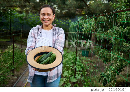 Beautiful woman gardener smiling toothy smile, holding a straw hat with freshly picked ripe cucumbers in organic farm  92140194
