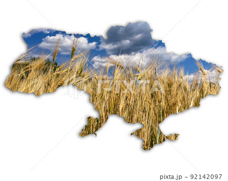 Political map of Ukraine laid out with grain of wheat on the background of the Ukrainian flag. Politics and war in Ukraine 2022. Theme of the problem of export of wheat from Ukraine. Close-up Political map of Ukraine laid out with grain of wheat on the background of the Ukrainian flag. Politics and war in Ukraine 2022. Theme of the problem of export of wheat from Ukraine. Close-up 92142097