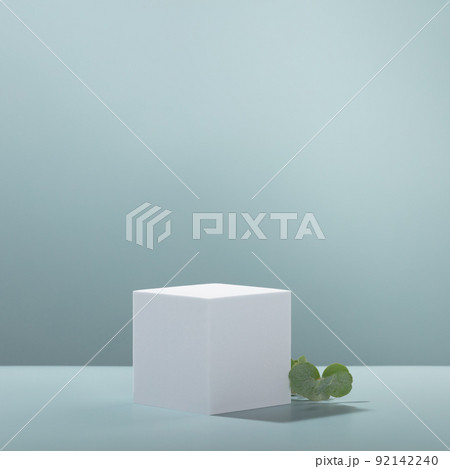 Abstract empty white podium with eucalyptus leaves on blue background Abstract empty white podium with eucalyptus leaves on blue background 92142240